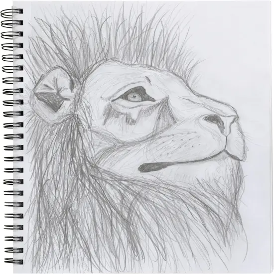 Poly Cover Sketch Book, 9" x 12", Black {3}