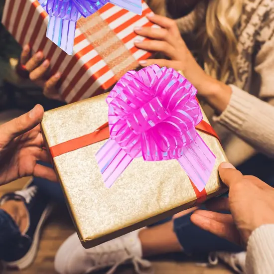 Pull Bows for Gift Wrapping, Large, Organza, 6 Inches, 8 Pieces (Multicolour) {5}