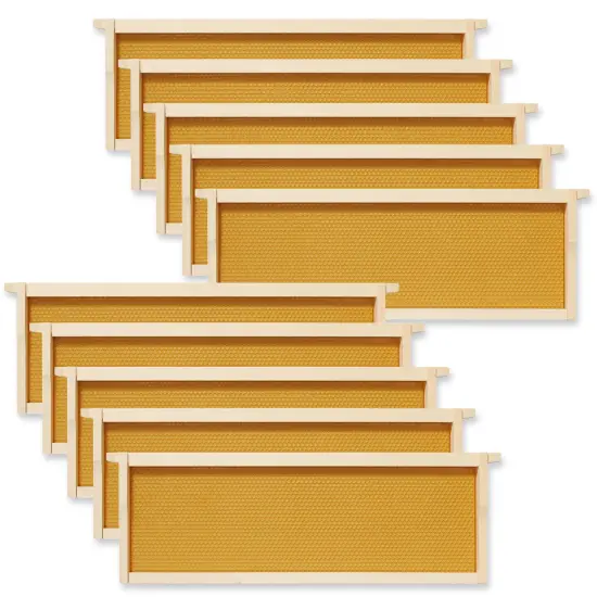 Honey Keeper 10-Pack Unassembled Beehive Frames with Natural Beeswax Foundations for Beekeeping, Medium Super - 6-1/4 inch Yellow {1}