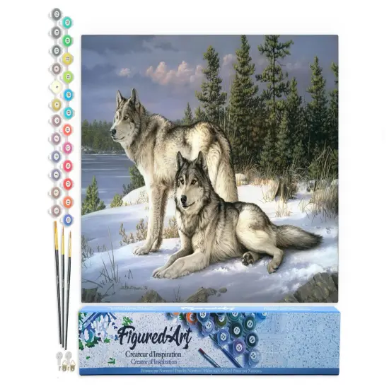 Figured'Art Paint by Numbers Kit for Adults Wolves Couple 16"x20" - Craft Art Painting DIY Kit Rolled Canvas without frame {1}