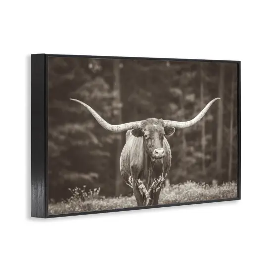 Stupell Industries Longhorn Among Flowers Framed Giclee Wall Art Design by Nathan Larson {3}