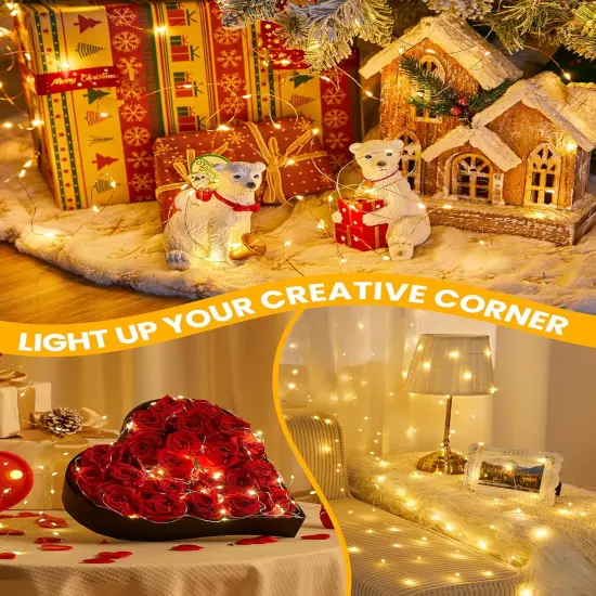 Fairy Lights with Remote {5}