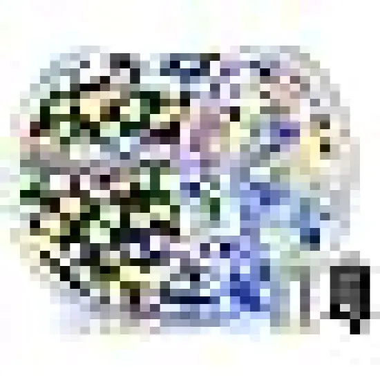 Lights with Remote and Timer {6}