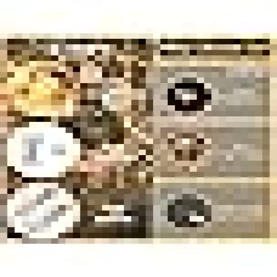 Durable Waterproof Design for Indoor Outdoor Tree Decor {3}