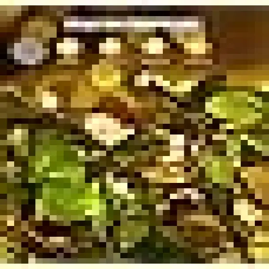 Pack Solar String Lights for Outside {3}