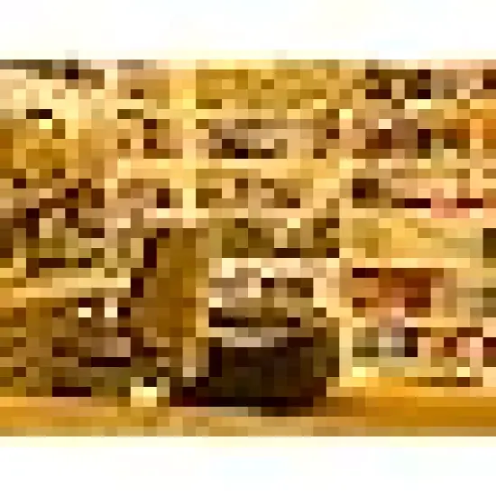 Christmas Lights Outdoor Waterproof with 8 Modes {3}