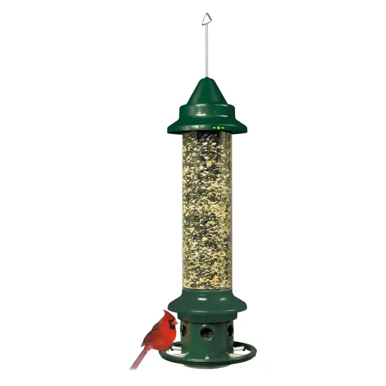 Green Squirrel Proof Bird Feeder with Perch Ring and 3-Quart Seed Capacity {2}