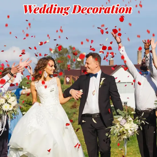 1500+ Real Dried Red Hydrangea Flower Petals - 1.06 oz Natural Preserved Petals for Wedding {2}