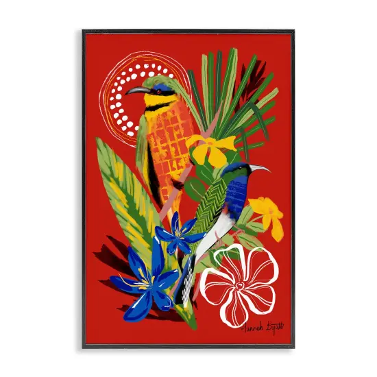 Stupell Industries Gambia Inspired Birds Framed Giclee Wall Art Design by Hannah Byatt {1}