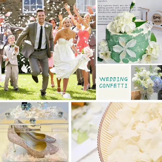 Dried Real Hydrangea Petals, Natural Preserved Dry Flower Petals for Wedding Party Dinner Table Decor {3}