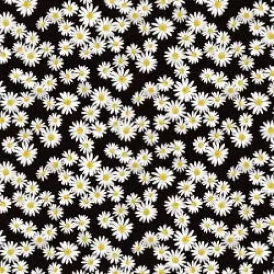 Black White Daisy Dance Cotton Wideback Fabric Per Yard {1}