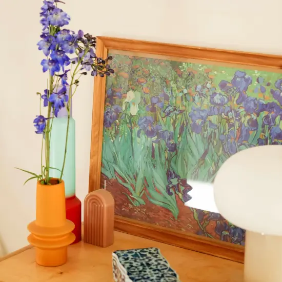 Irises, Vincent van Gogh {6}