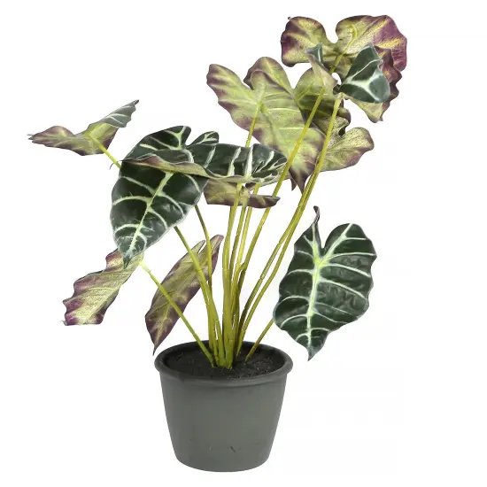 Artificial Potted Alocasia Plant 20in {1}