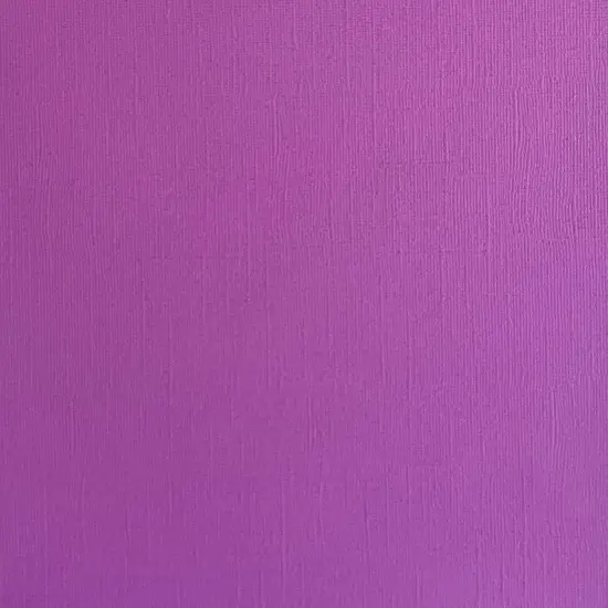 MARDI GRAS PURPLE - Textured 12x12 Cardstock - Encore Paper {1}