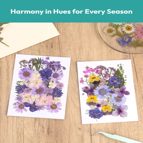 58Pcs Pressed Flowers for Craft Purple Real Natural Dried Flowers {3}
