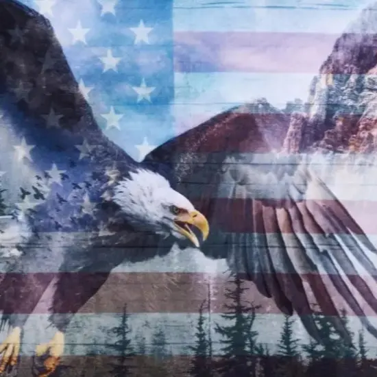 Hoffman USA Wild Digital Cuddle Americana - Panel {1}