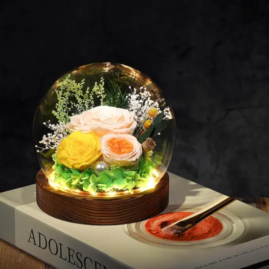 Gifts for Her Preserved Flower Rose in Glass Dome {5}