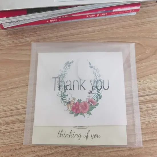 5x7 Small Plastic Envelopes {4}