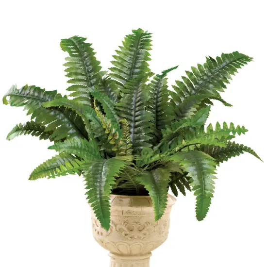 Collections Etc Artificial Boston Fern Shrub Plant {2}