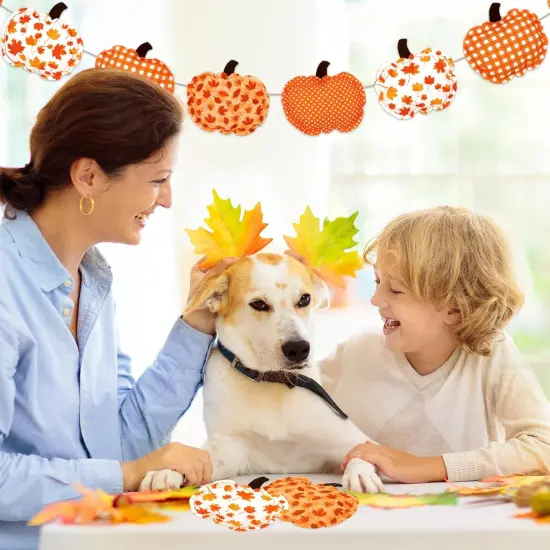3D Pumpkins Banner Fall Harvest Garland Pre-Assembled Plaid Maple Leaf {5}