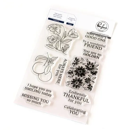 Pinkfresh Studio Clear Stamp Set 4"X6"-Framed Art {1}