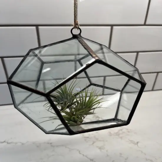 Hanging Glass Terrarium - Hexagon {4}