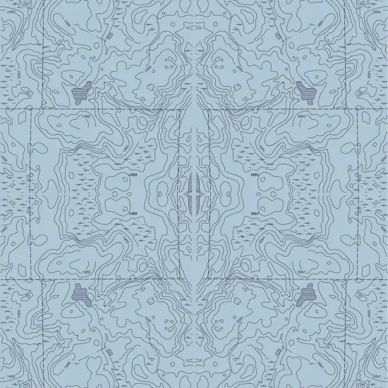 Topographic Map Gift Wrap XI {2}