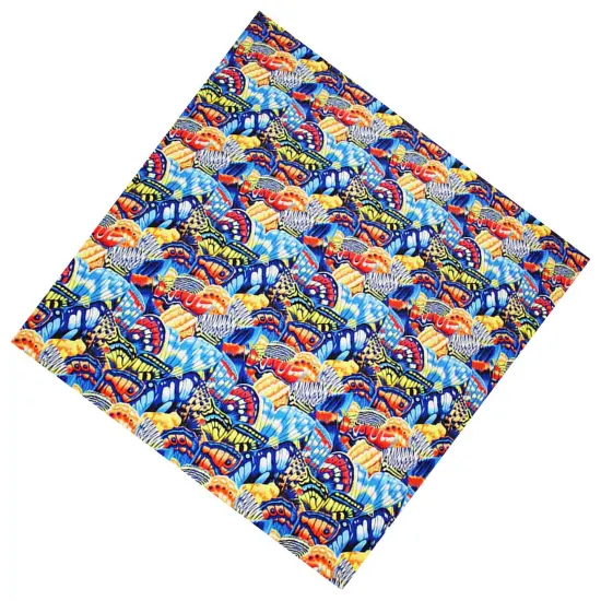 Butterfly Fields Printed Spandex {3}