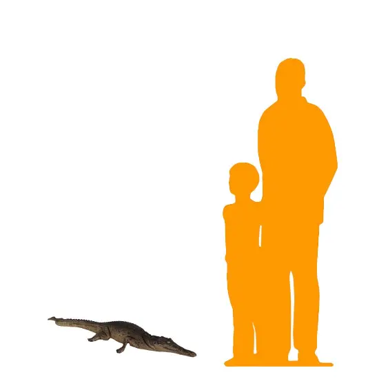 Resting Crocodile Life Size Statue {2}