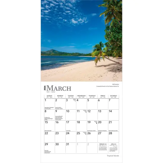 Tropical Islands | 2026 7 x 14 Inch (Hanging) Monthly Mini Wall Calendar {3}