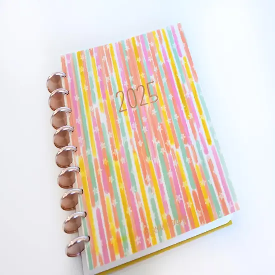 2025 Planner - Mini Horizontal Layout, Disc Bound - "Stars & Stripes" (#1010) {2}