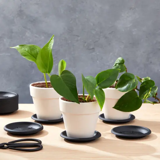 24 Pack Small Plastic Plant Saucers for Pots, 4 Inch Drip Tray for Planter, Indoor, Outdoor Flowers (Black) {2}