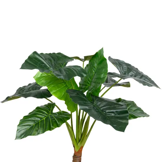 Northlight Potted Green Wide Leaf Taro Artificial Floor Plant - 51" {4}