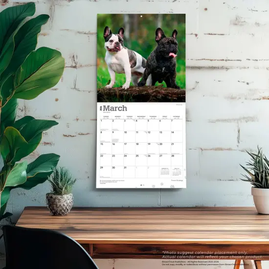 French Bulldogs | 2026 12 x 24 Inch (Hanging) Monthly Square Wall Calendar | Plastic-Free {5}