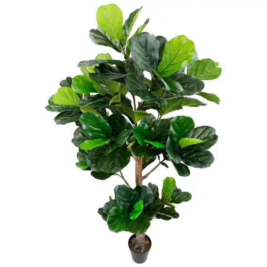 Northlight Potted Two Tone Green Artificial Wide Fiddle Leaf Fig Tree - 6.25' {5}