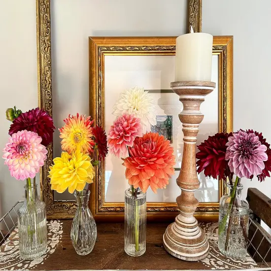 Glass Bud Vases Set of 12 &ndash; Mini Vintage Clear Vases for Wedding Centerpieces and Home Decor {4}