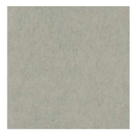 Strathmore 400 Series Toned Gray Sheet 19"X24"-Single Sheet {1}