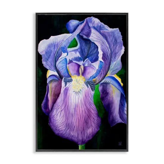 Stupell Industries Purple Iris Petals Framed Giclee Design By Sarah Waldron Kimball {1}