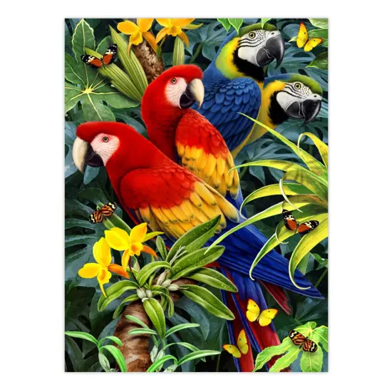 AVS-PBN209 | Painting by numbers&trade; 30pc 8" x 10" Jungle 4 Project Box Set {2}