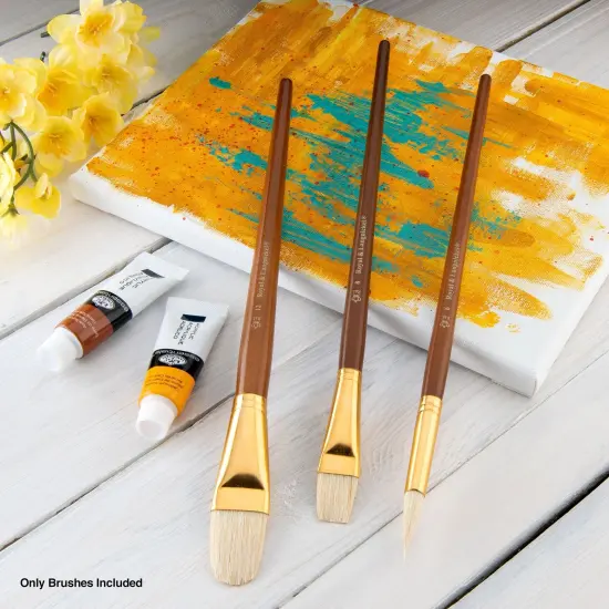 RSET-9169 | 3pc Bristle Long Handle Variety Brush Set {3}