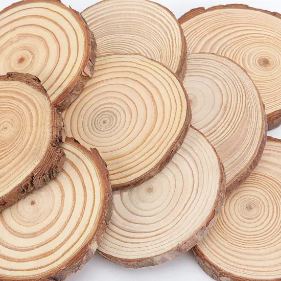 40 PCS 3.5-4 Inch Natural Wood Slices, 2/5 Inch Thickness Unfinished Wood Kit Wooden Circles Crafts with Bark for DIY, Arts, Centerpieces, Paintings, Wedding Decoration, Christmas Ornaments {2}