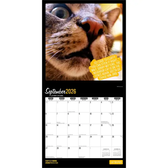 Cat Selfies | 2026 12 x 24 Inch (Hanging) Monthly Square Wall Calendar | Plastic-Free {4}