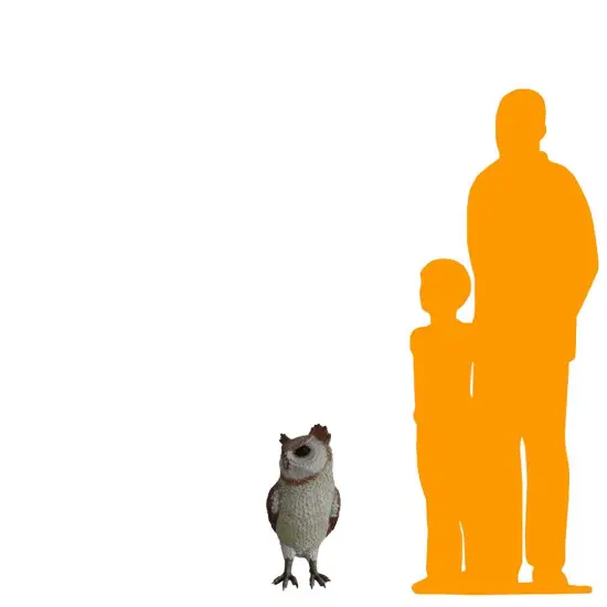 Owl Life Size Statue {2}