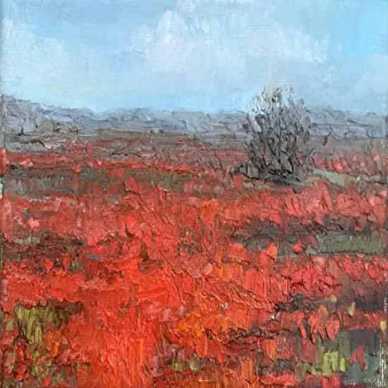 Premium Oil Paint - Set 12 Colors, Maximum Strength Pigmented Oil Paints for Professionals, Students, {3}