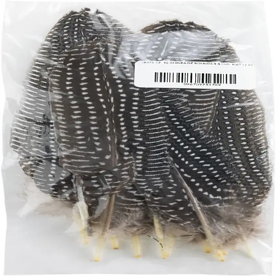 Zucker Guinea Hen Rounds 4"-8" 12/Pkg-4"-8" {1}