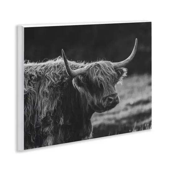 Stupell Industries Bold Scottish Highland Wall Plaque, design by Crystal Lynn Collins {3}