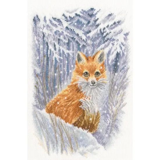 Encounter M901 Counted Cross Stitch Kit {1}