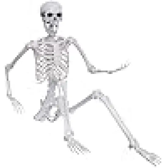 Skeleton Full Body Human Skeleton for Halloween Decorations {1}