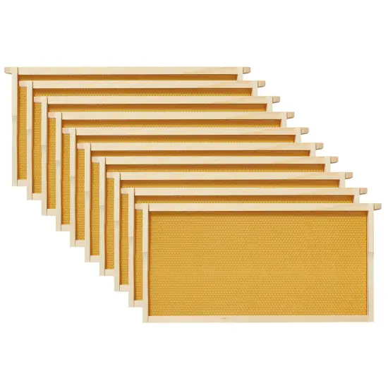 Honey Keeper Beginner Bee Hive Kit, Fully Assembled and Painted Starter Set with Hive Body & 10 Frames Green {6}