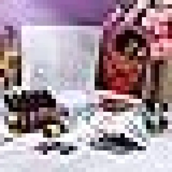 Pre Drawn Canvas for Painting DlY Acrylic Paint Set {2}